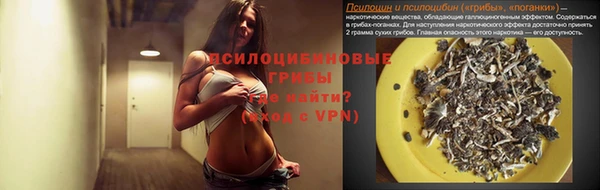 герыч Алексин