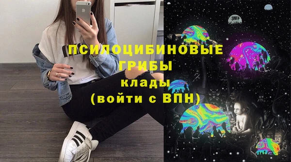 герыч Алексин